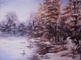 /album/galeria-krajiny/a2010-winter-lake-1-aa-jpg/